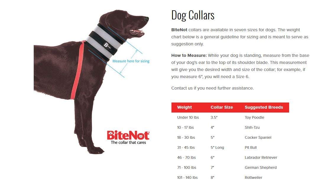 Collar I31881