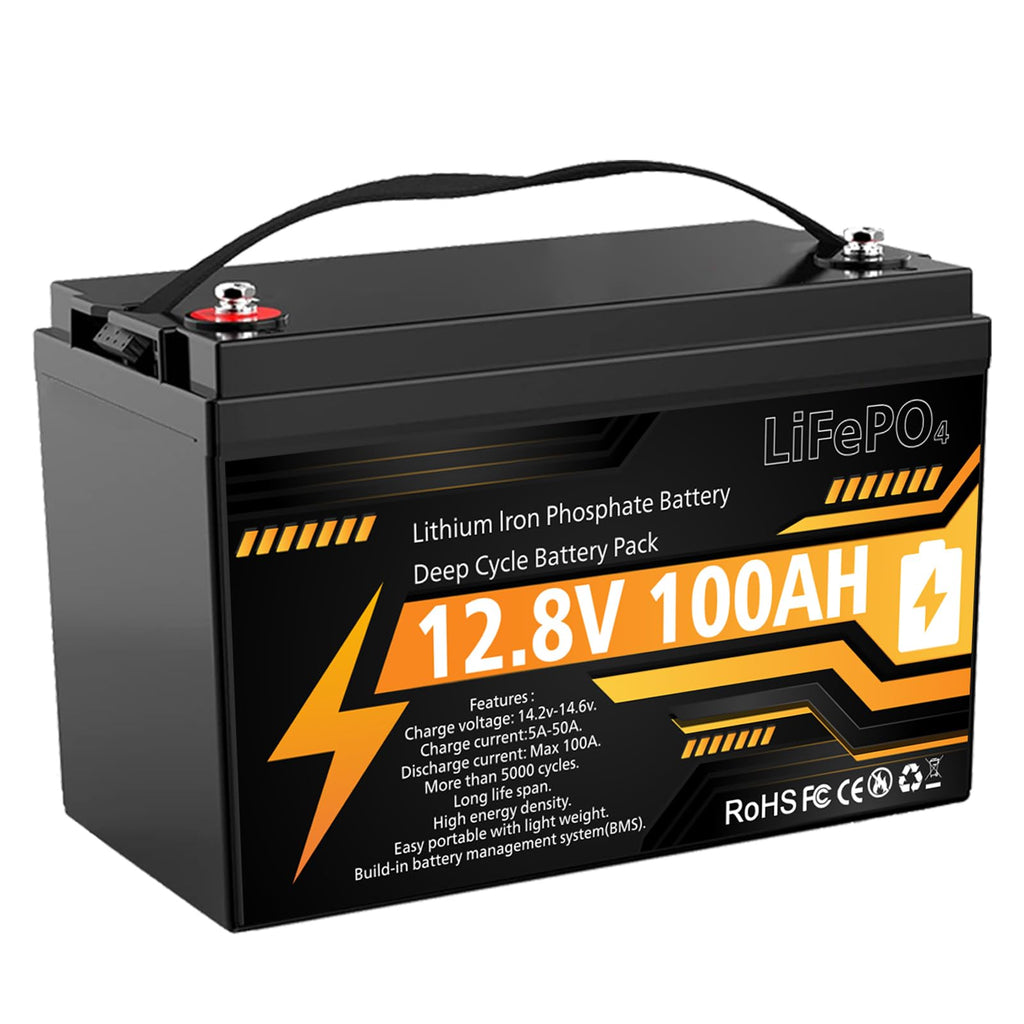 12V 100Ah LiFePO4 Deep Cycle Battery D869