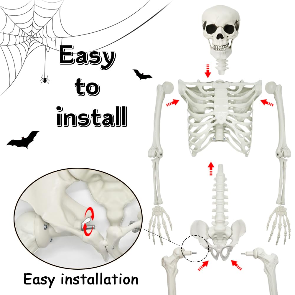 5.4Ft Posable Halloween Skeleton with Dog Cat Skeleton J8105