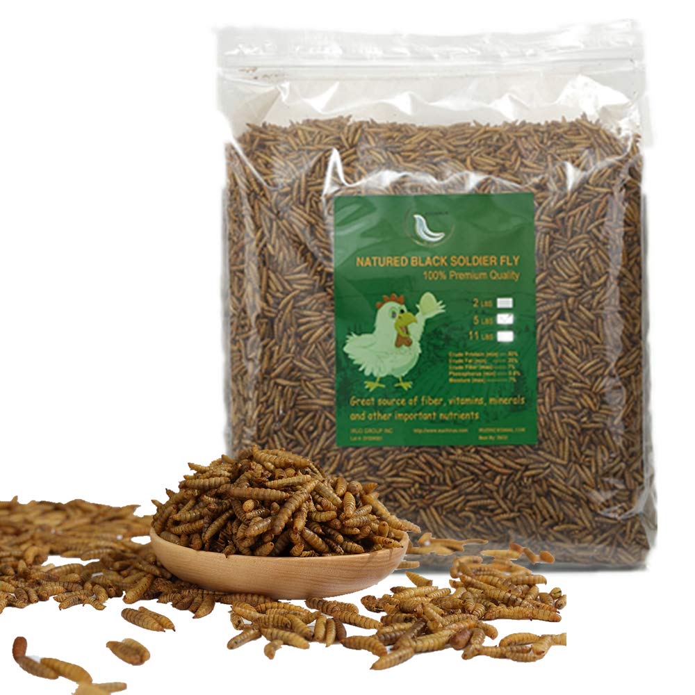 20LBS Black Soldier Fly Larvae Treats for Birds Chickens H573