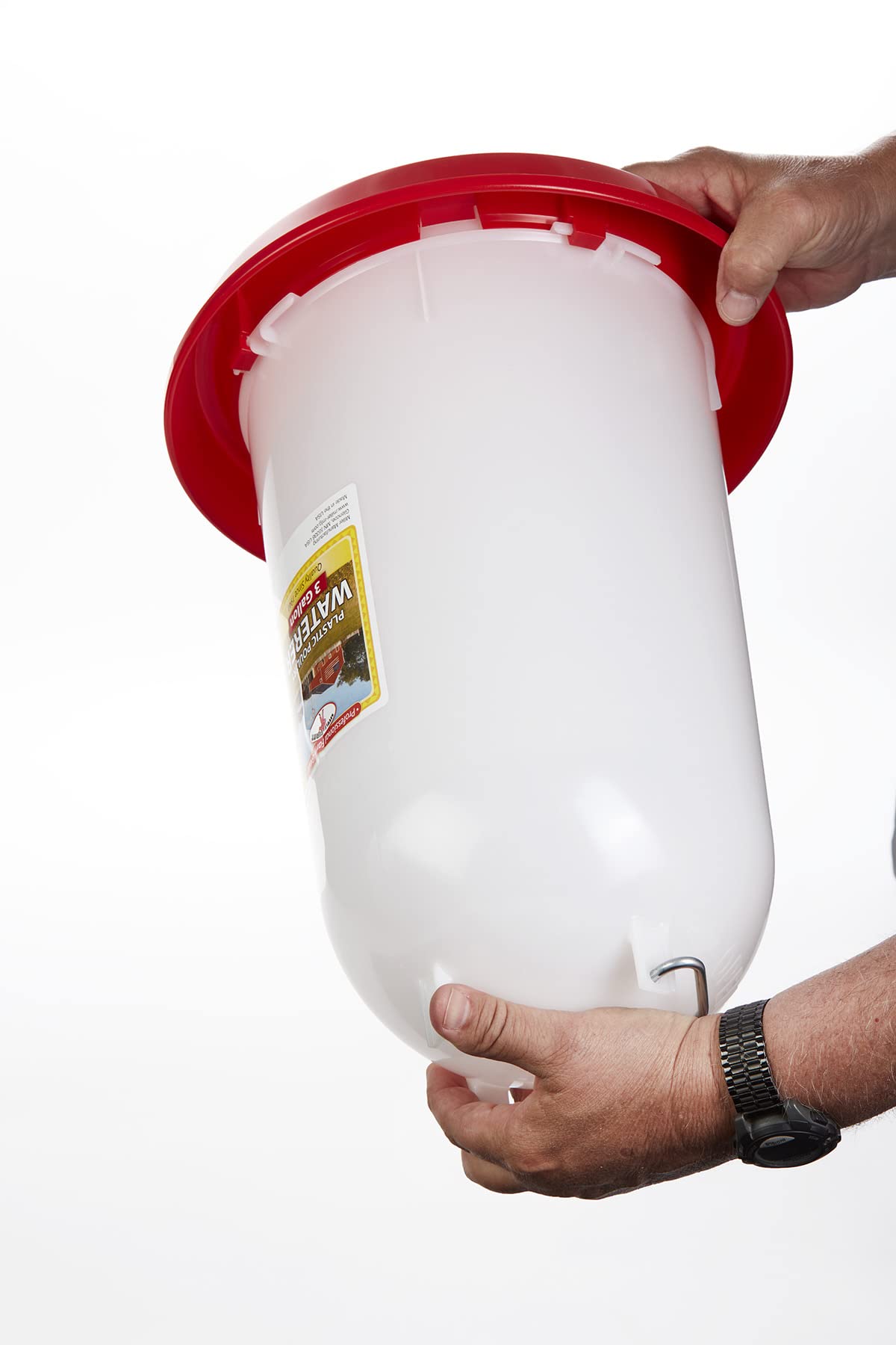 3 Gallon Plastic Poultry Waterer with Handle S22217