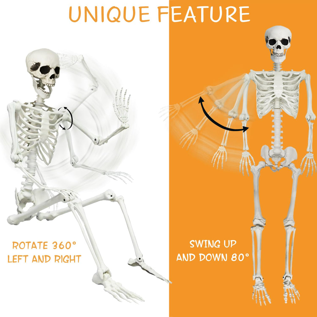 5.4Ft Posable Halloween Skeleton with Dog Cat Skeleton J8105
