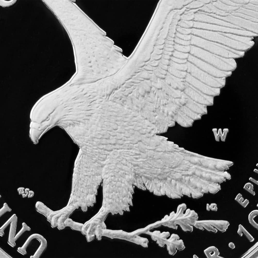 1 oz American Silver Eagle Coin R37952