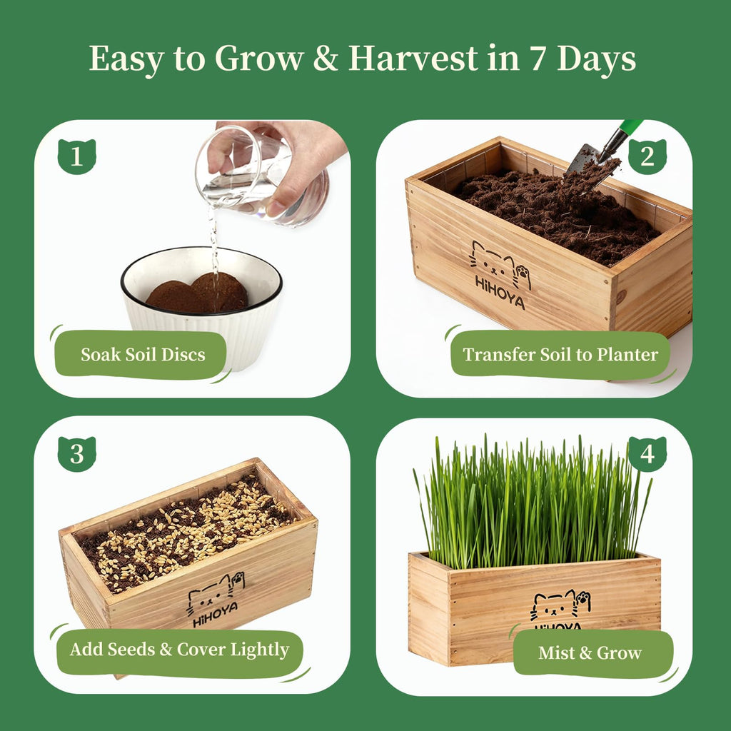 Cat Grass Kit with 5 Packets of Seeds, Wooden Planter, 6 Soil Discs, Trimming Scissors, Spray Bottle, and Mini Tools W53795