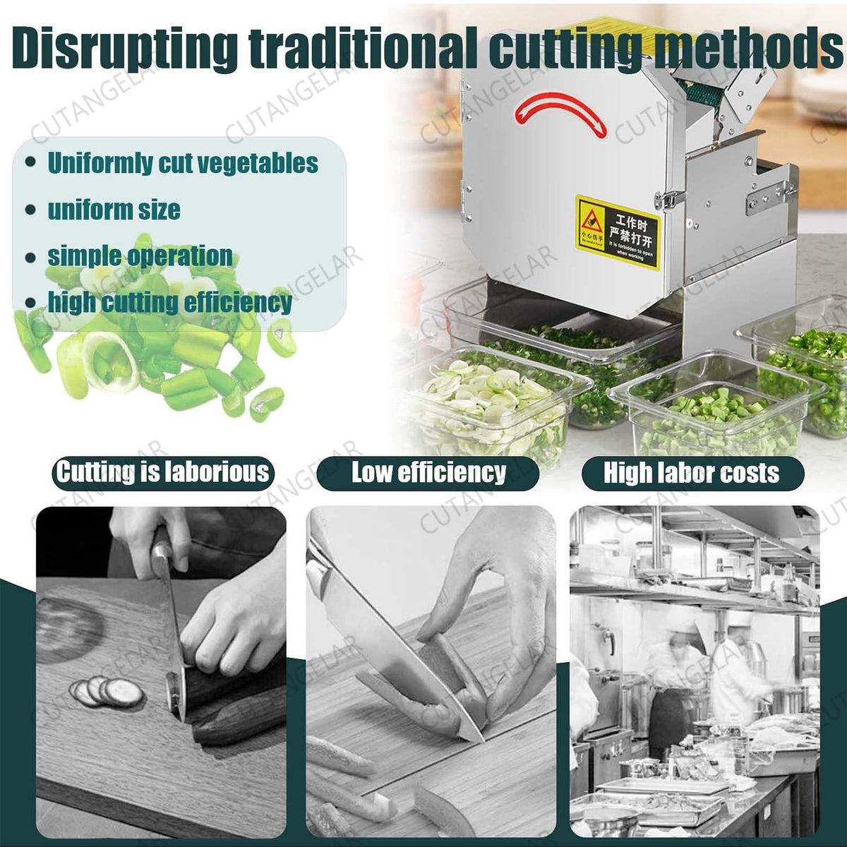 Compact Electric Vegetable Cutter R8086