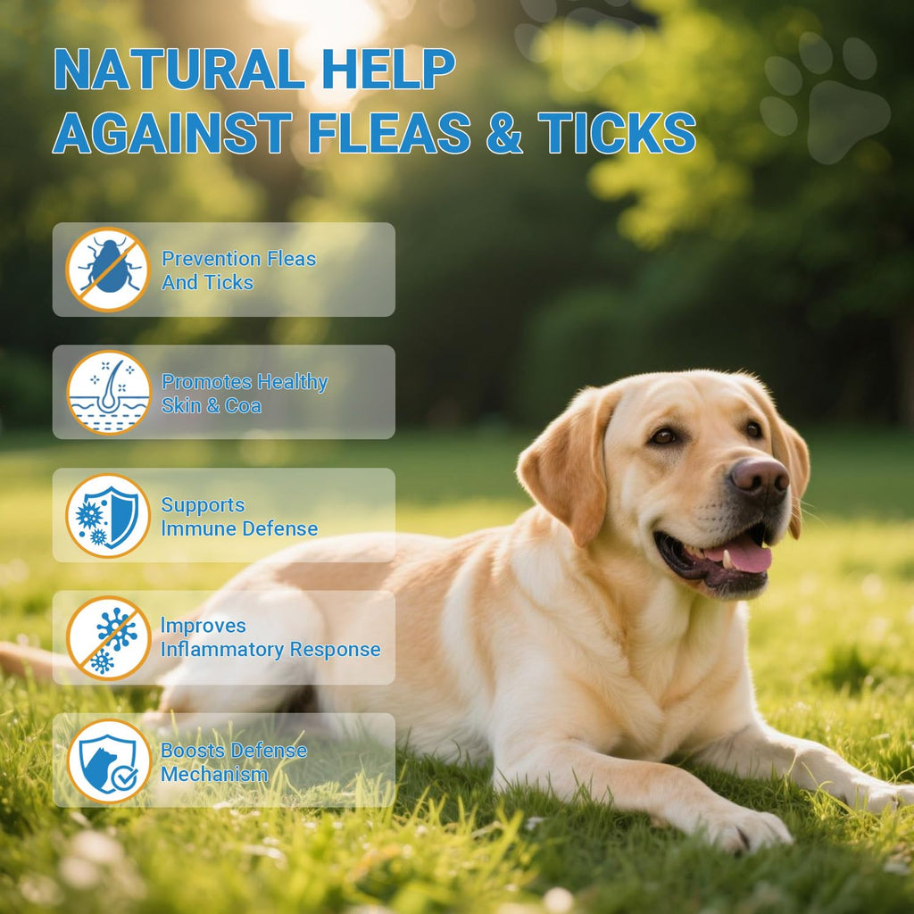 Flea and Tick Prevention for Dogs 200 Soft Chews Chicken Flavor N435