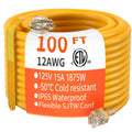100 FT 12/3 Gauge Heavy Duty Outdoor Extension Cord Waterproof G837