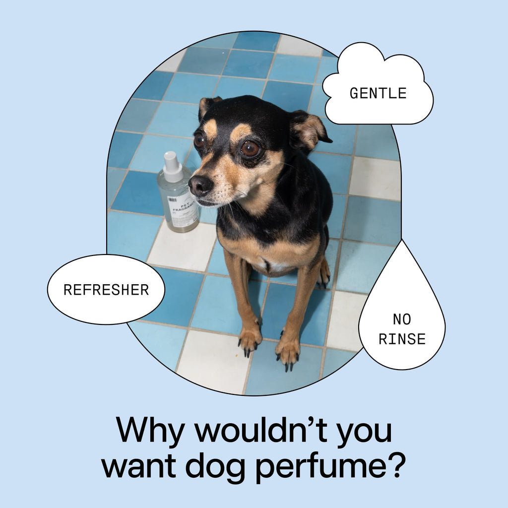 Pet Shampoo & Fragrance Bundle Dog Grooming Set B927446