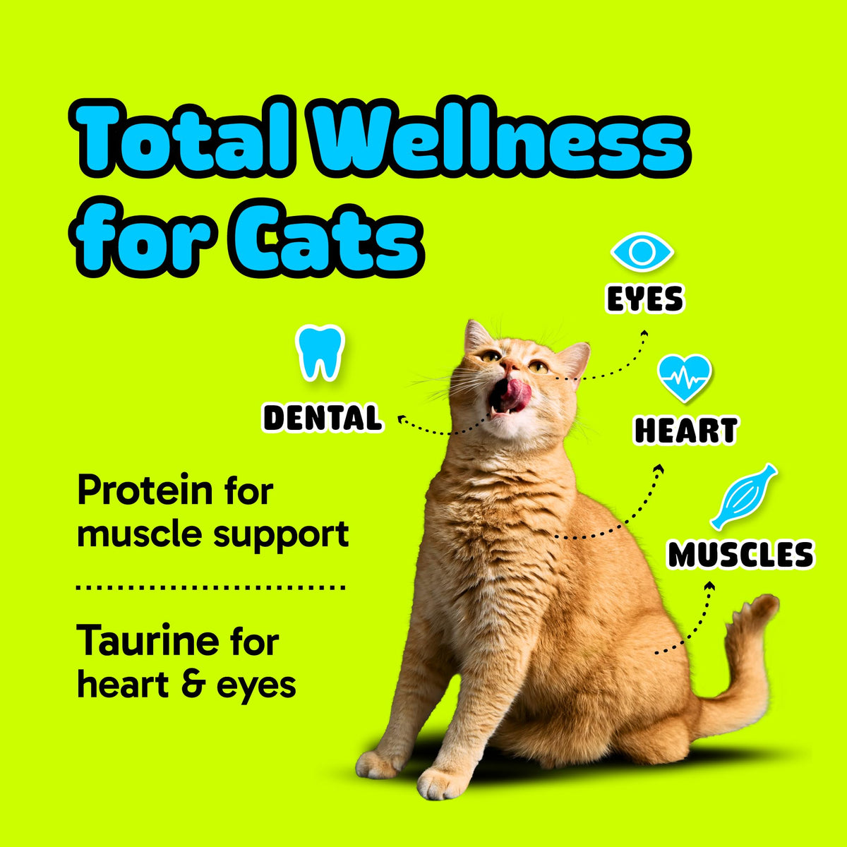 Cat Dental Chew Stick Bites Supplement with Taurine E5910