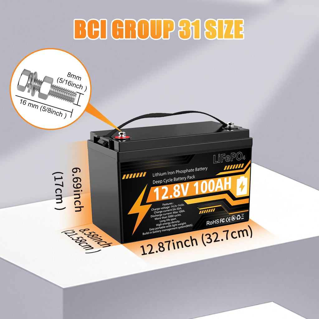 12V 100Ah LiFePO4 Deep Cycle Battery D869