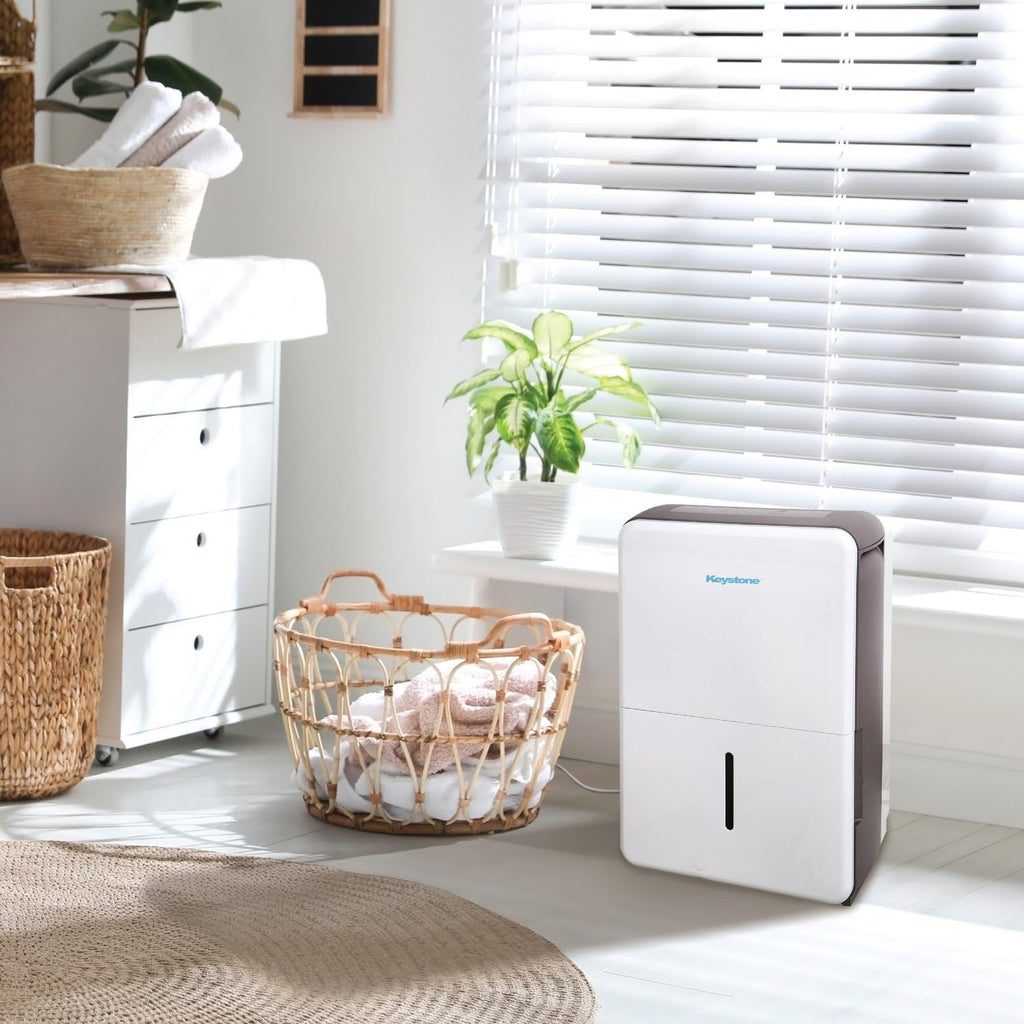 50-Pint Portable Dehumidifier with Auto-Shutoff and Timer R5077