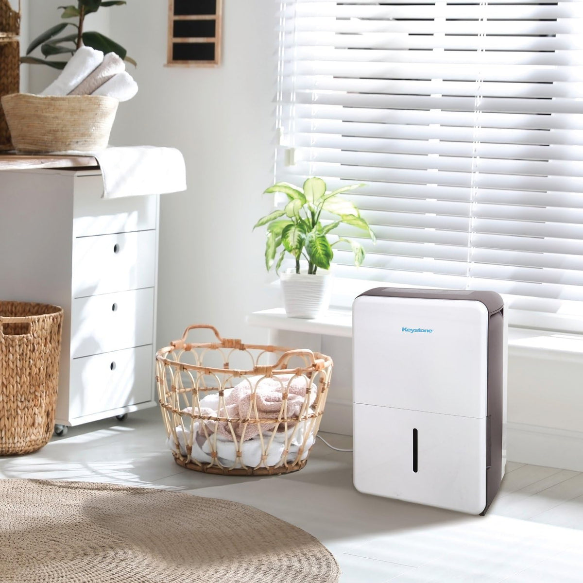 50-Pint Portable Dehumidifier with Auto-Shutoff and Timer R5077