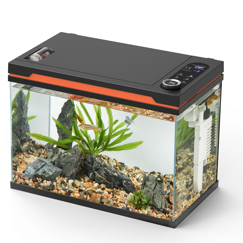 10 Gallon Glass Aquarium Starter Kit with Light Heater Pump Filter H74010