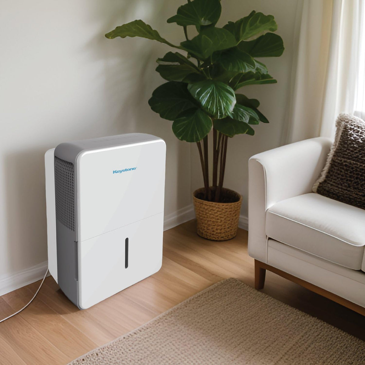 50-Pint Portable Dehumidifier with Auto-Shutoff and Timer R5077