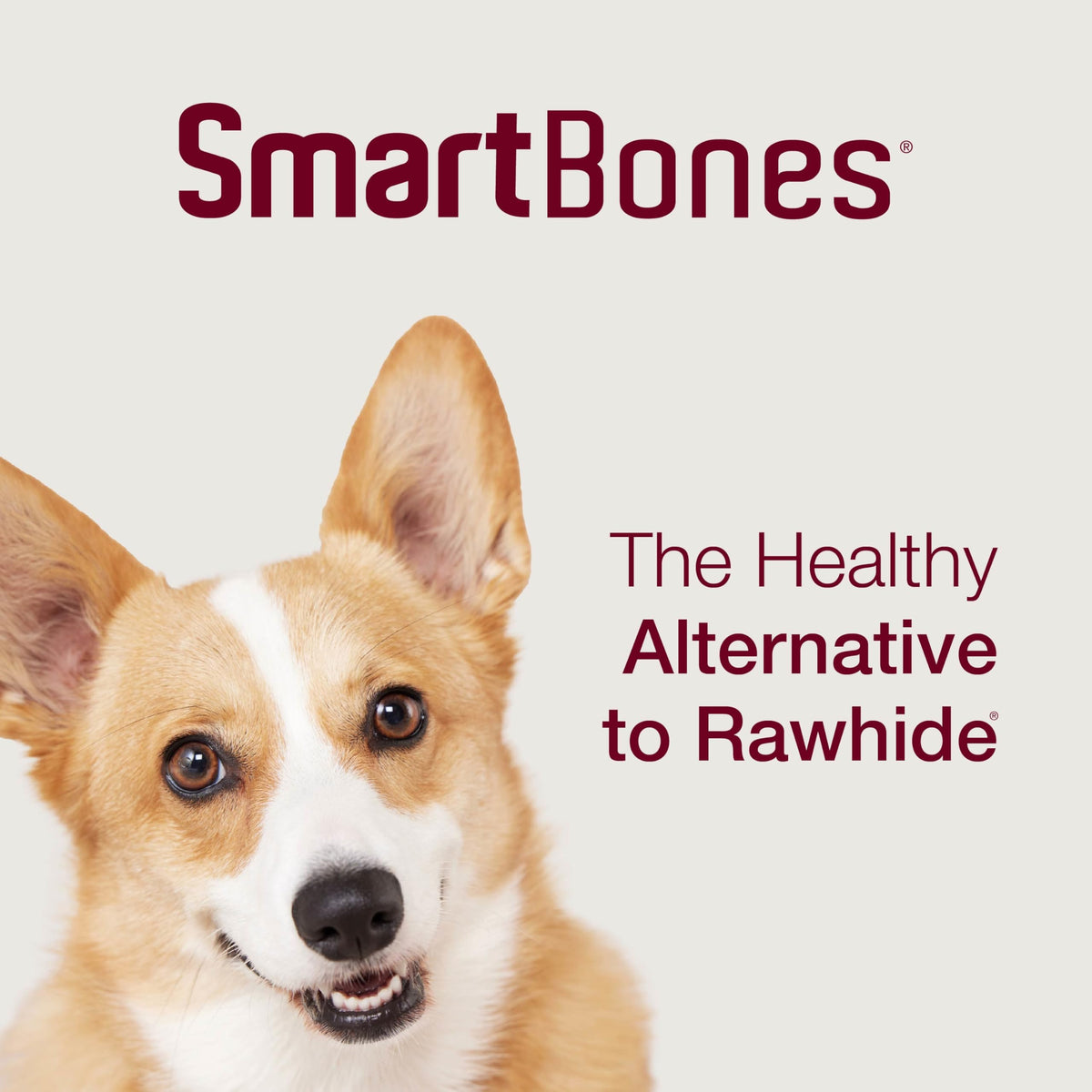 Mini Rawhide-Free Chews for Dogs Z532390