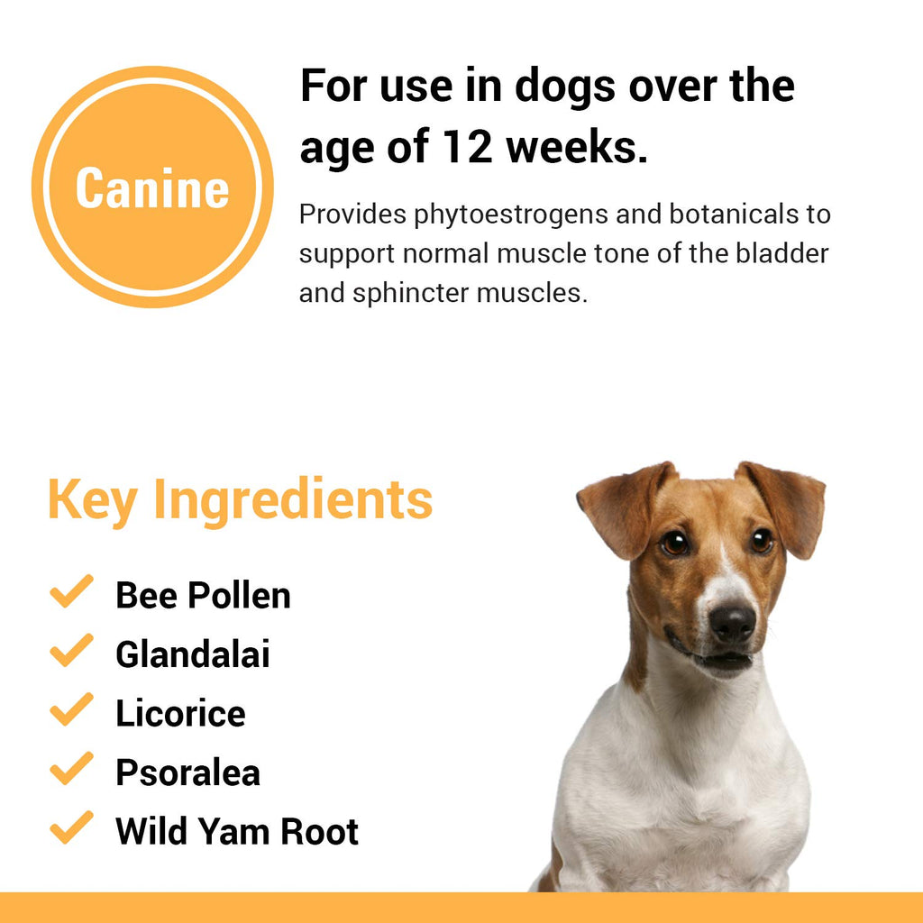 Dog Supplement 120 Count M861084