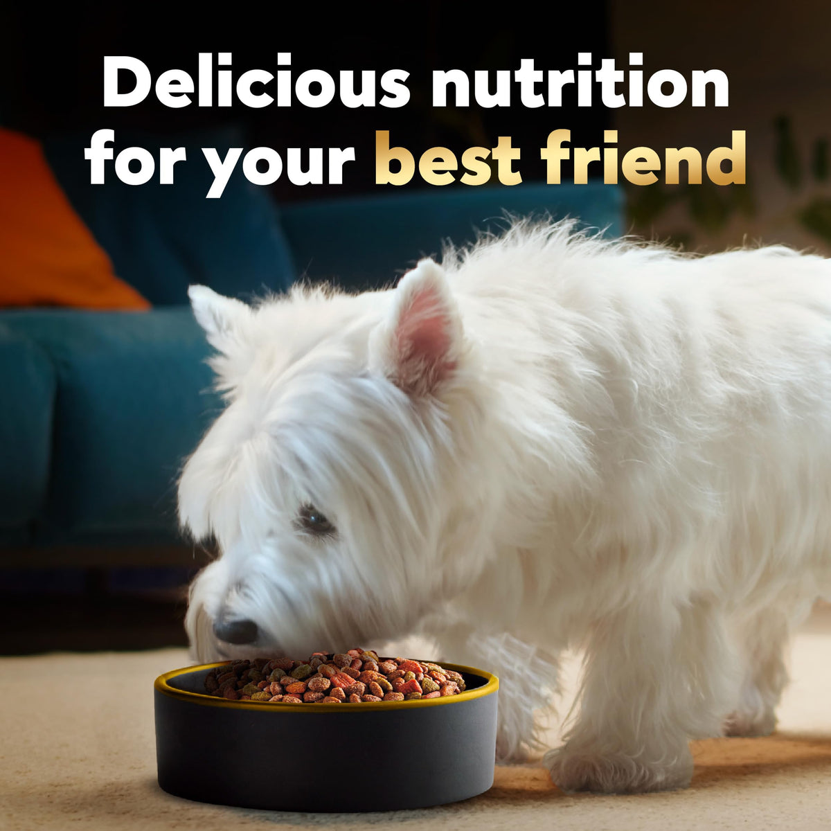 Small Breed Dry Dog Food 12 lb G88467