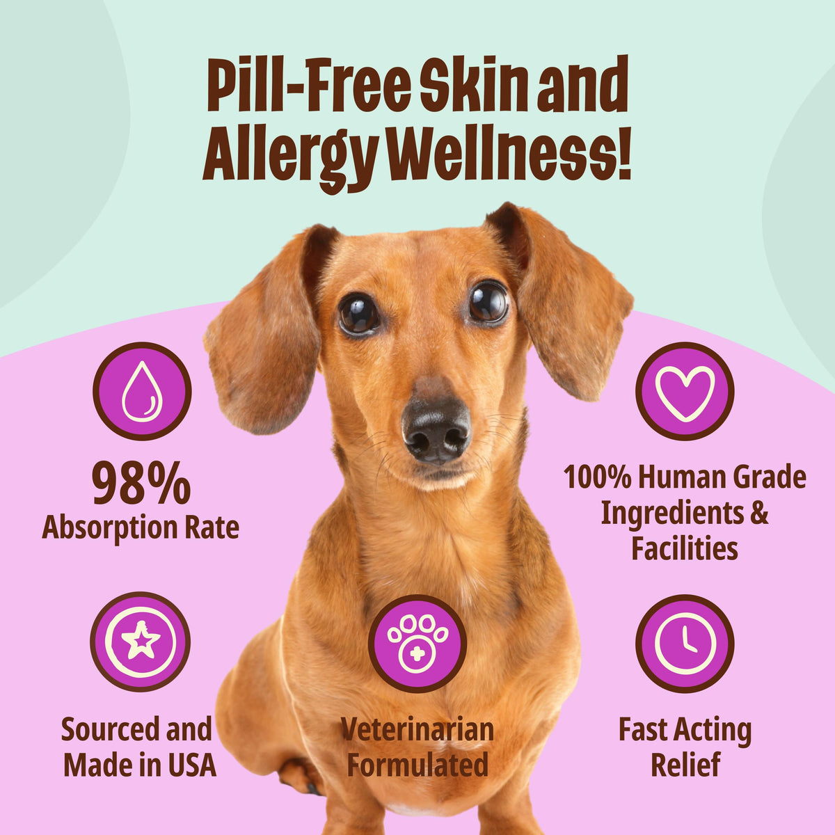 Omega-3 Fish Oil for Senior Dogs F28779