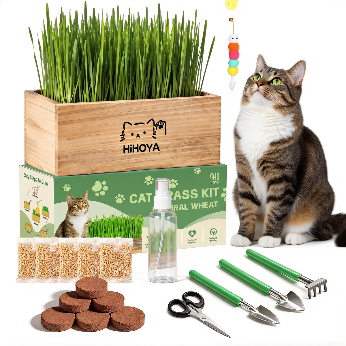 Cat Grass Kit with 5 Packets of Seeds, Wooden Planter, 6 Soil Discs, Trimming Scissors, Spray Bottle, and Mini Tools W53795