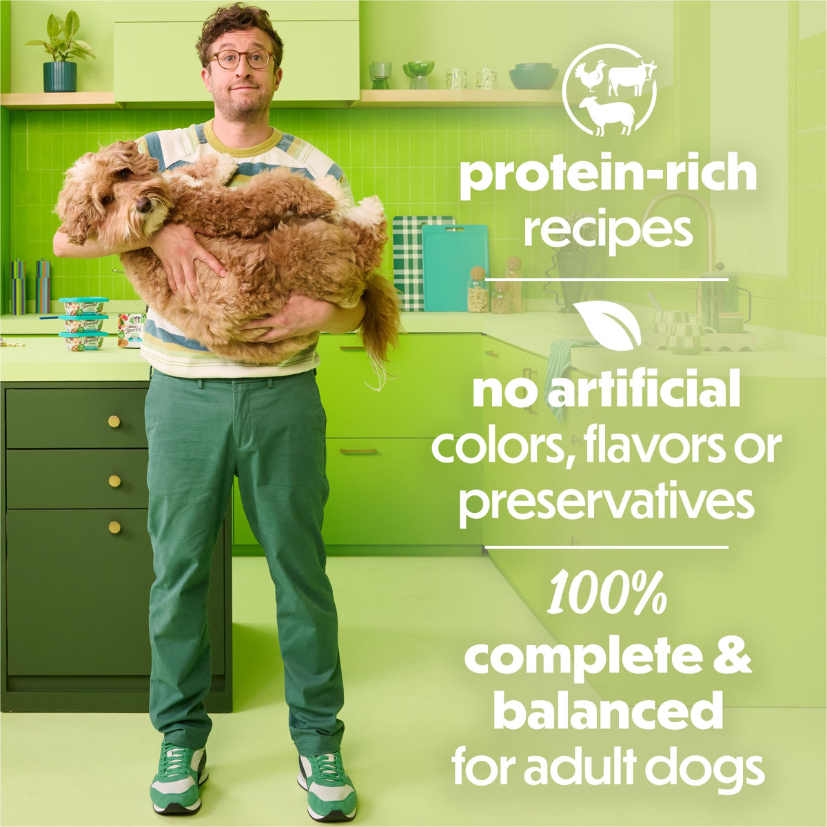 Wet Dog Food 12 10 oz Tub U108050