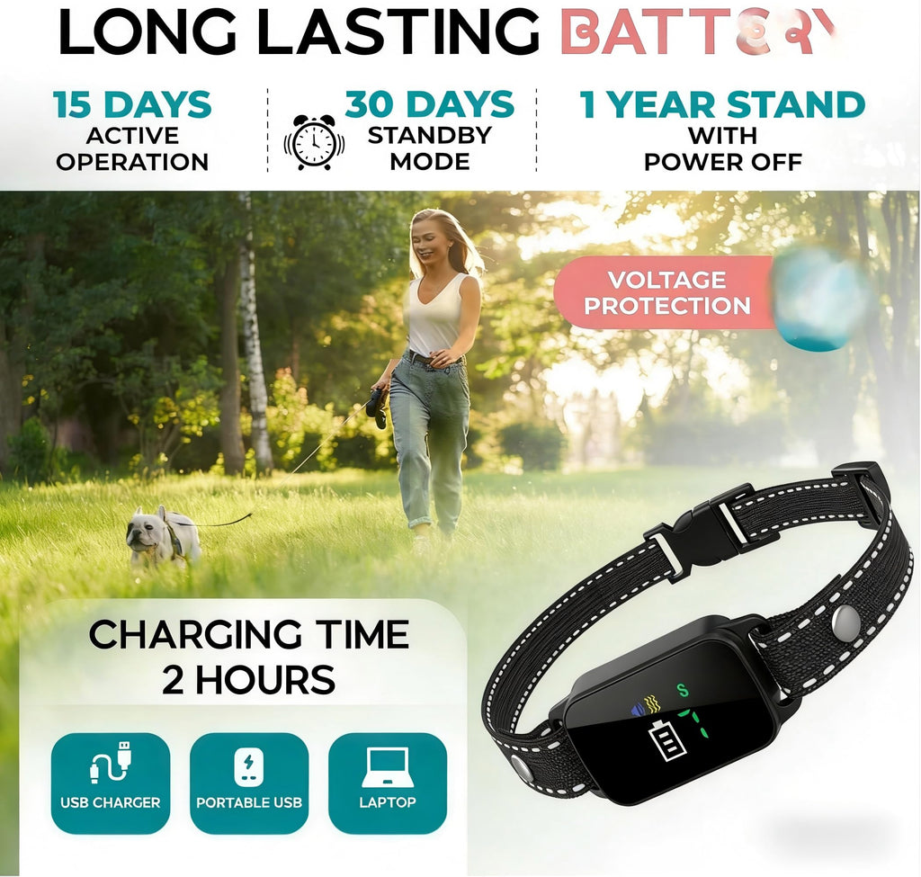 2 Pack Small Anti Barking Training Collar K329459