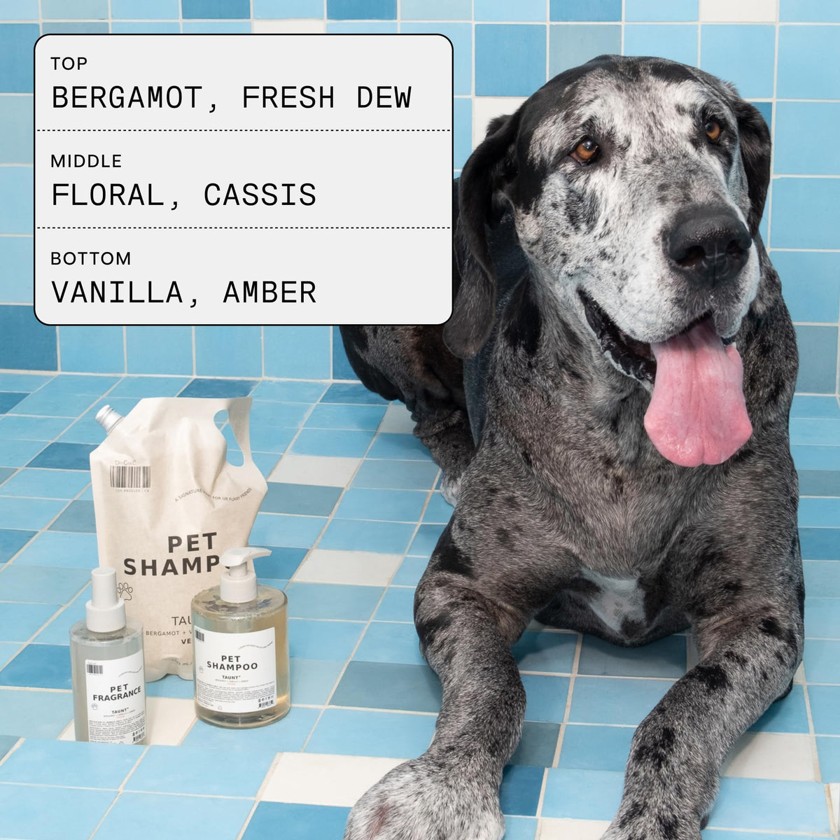 Pet Shampoo & Fragrance Bundle Dog Grooming Set B927446