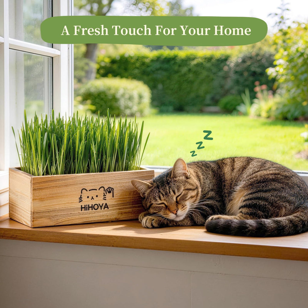 Cat Grass Kit with 5 Packets of Seeds, Wooden Planter, 6 Soil Discs, Trimming Scissors, Spray Bottle, and Mini Tools W53795