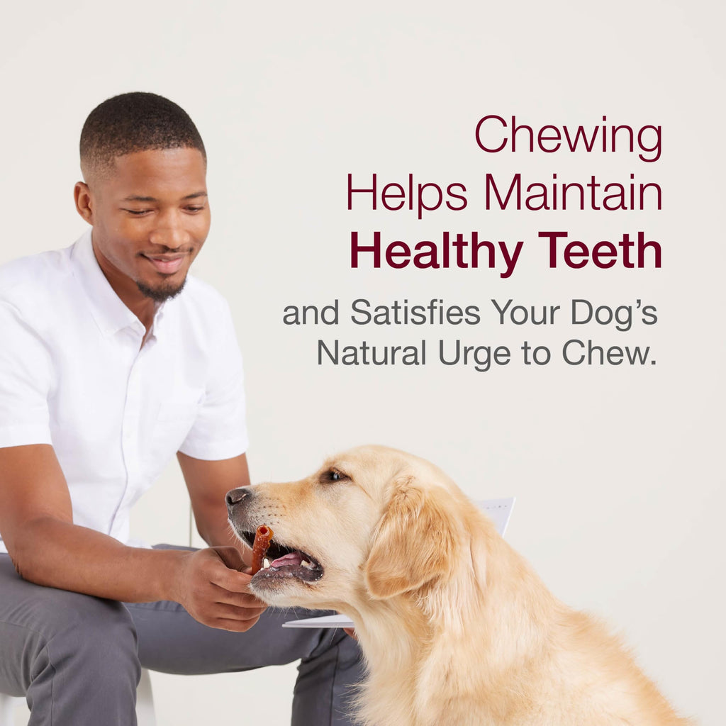 Mini Rawhide-Free Chews for Dogs Z532390