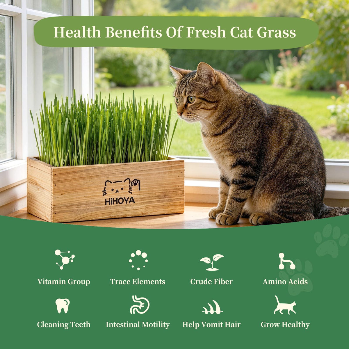 Cat Grass Kit with 5 Packets of Seeds, Wooden Planter, 6 Soil Discs, Trimming Scissors, Spray Bottle, and Mini Tools W53795