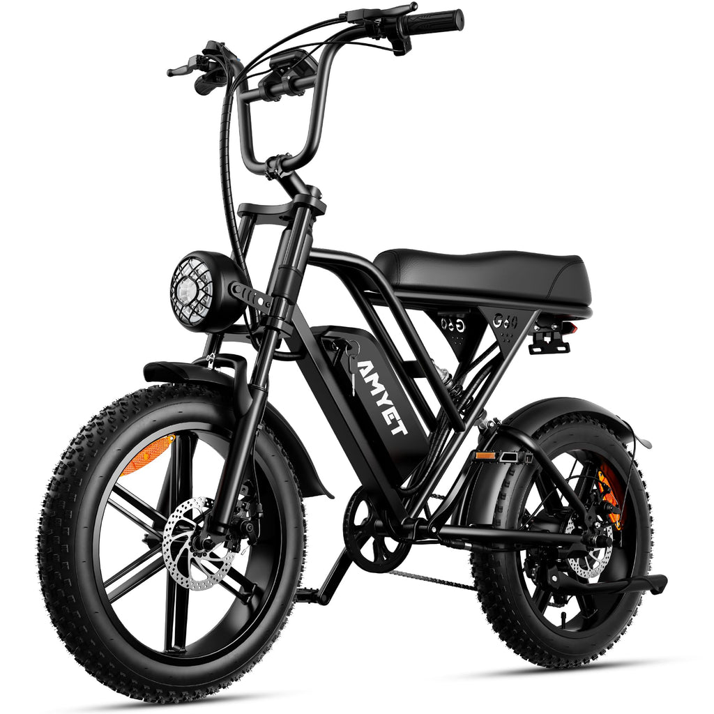 20'' Fat Tire Electric Bike R74642