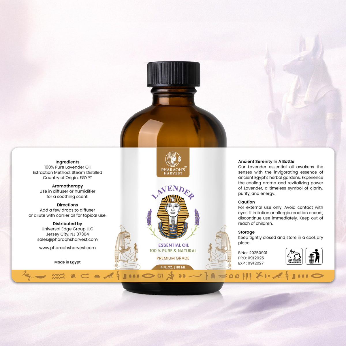 Lavender Essential Oil 4 Fl Oz M238