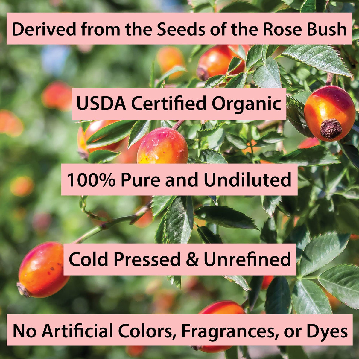 Cold Pressed Rosehip Seed Oil 1 Oz R598