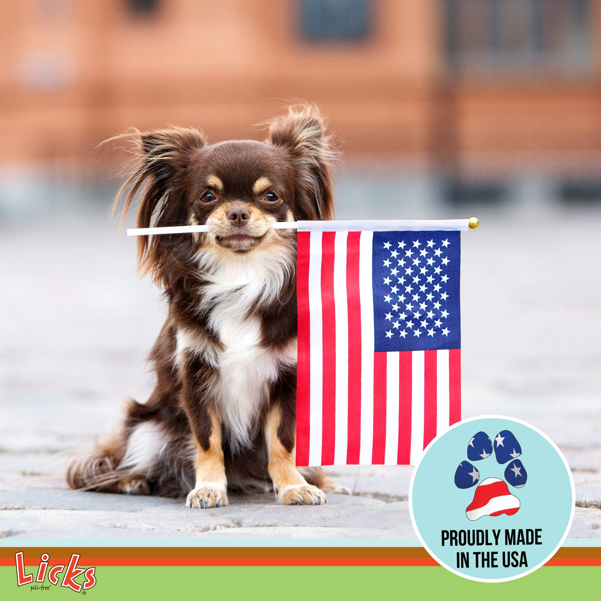 Omega-3 Fish Oil for Senior Dogs F28779