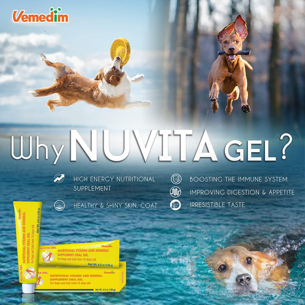 Nutritional Vitamin Gel for Dogs and Cats 4.2 oz P269