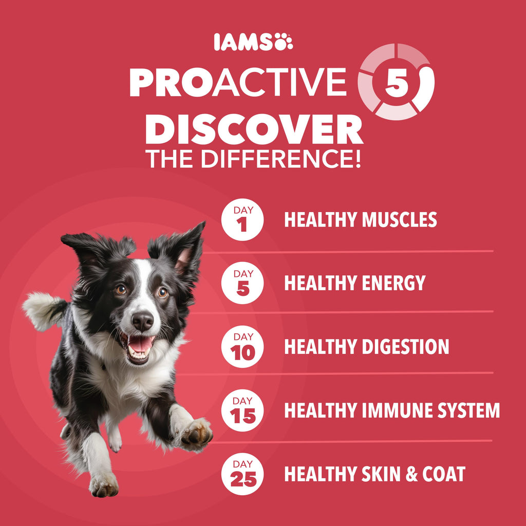 Lamb & Rice Dry Dog Food 30 lb F7416