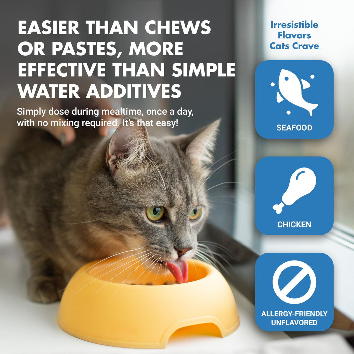 Cat Teeth Cleaning Dental Care K908