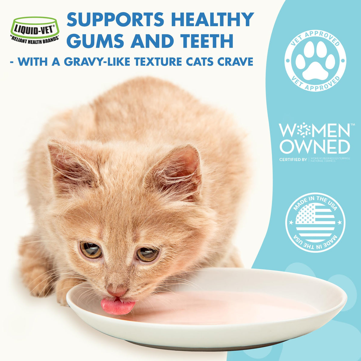 Cat Teeth Cleaning Dental Care K908