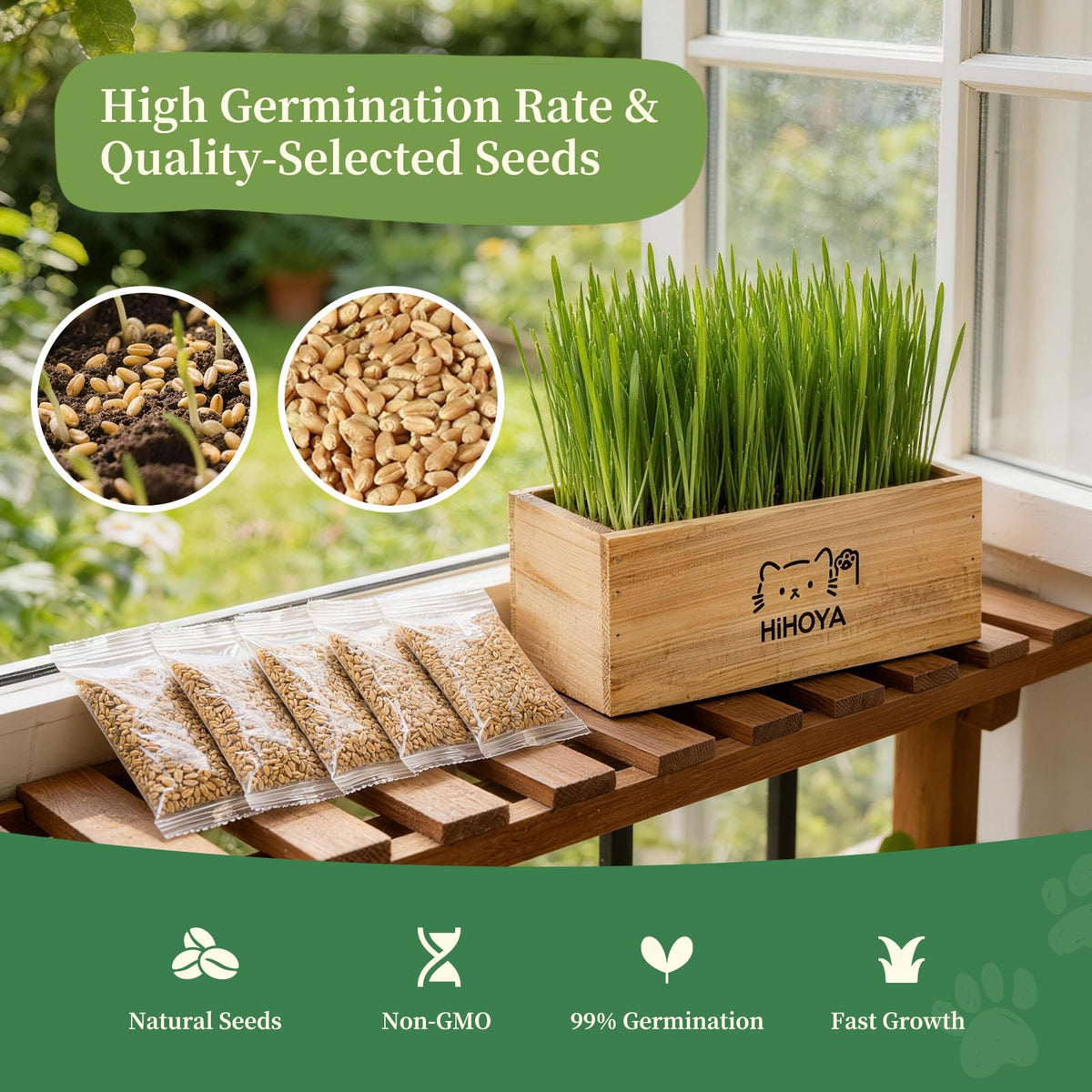 Cat Grass Kit with 5 Packets of Seeds, Wooden Planter, 6 Soil Discs, Trimming Scissors, Spray Bottle, and Mini Tools W53795