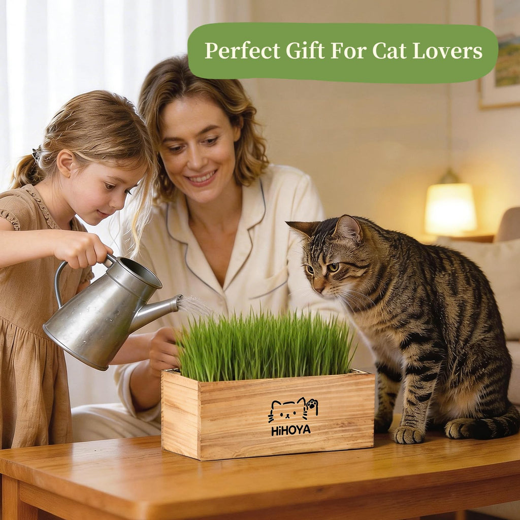 Cat Grass Kit with 5 Packets of Seeds, Wooden Planter, 6 Soil Discs, Trimming Scissors, Spray Bottle, and Mini Tools W53795