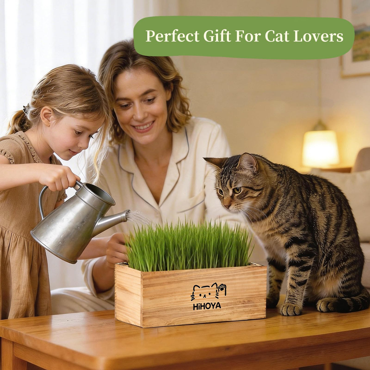 Cat Grass Kit with 5 Packets of Seeds, Wooden Planter, 6 Soil Discs, Trimming Scissors, Spray Bottle, and Mini Tools W53795