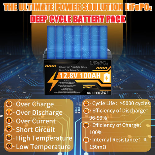 12V 100Ah LiFePO4 Deep Cycle Battery D869