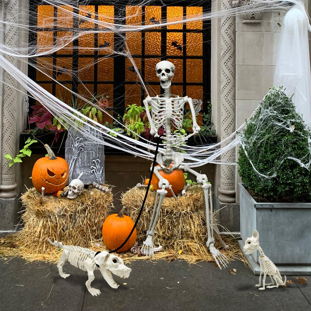 5.4Ft Posable Halloween Skeleton with Dog Cat Skeleton J8105