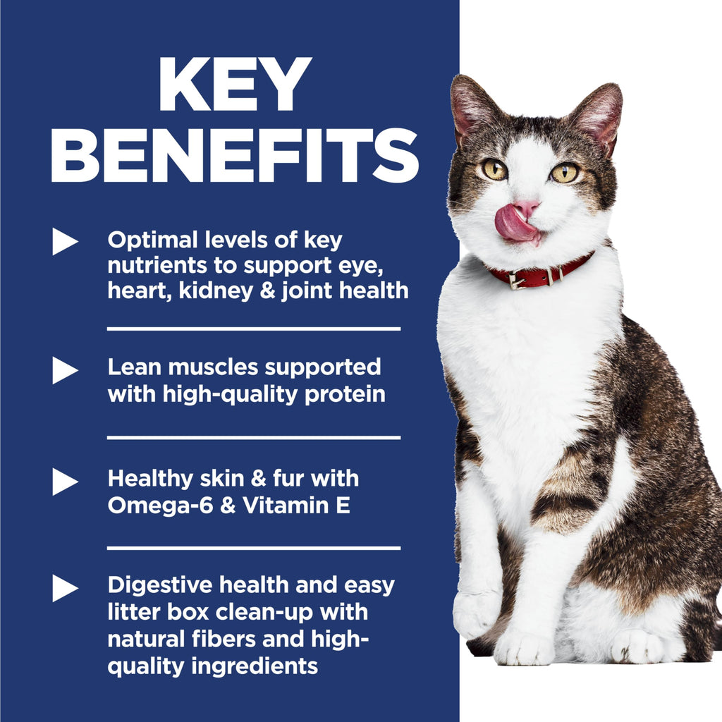 Indoor Dry Cat Food S309699