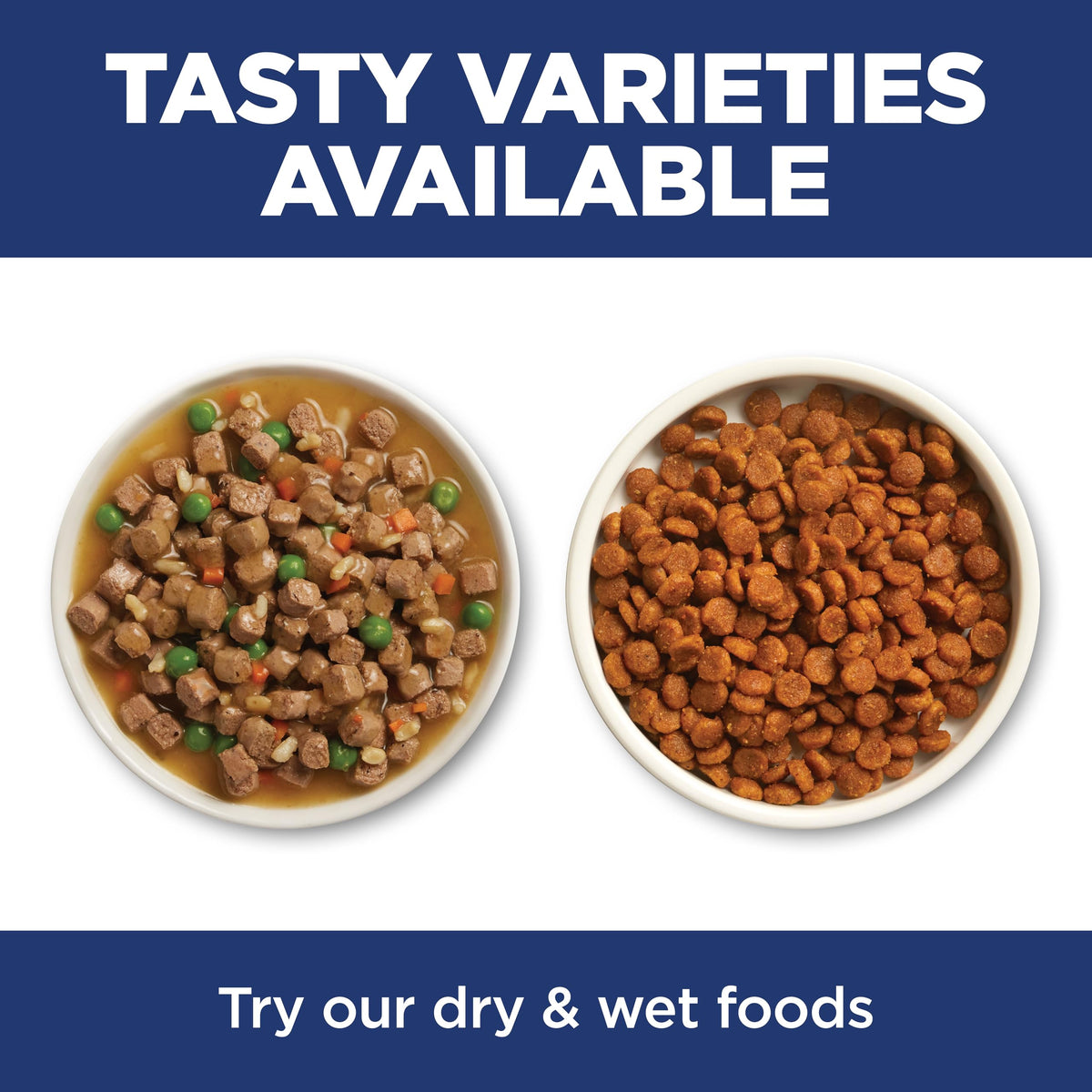 Indoor Dry Cat Food S309699