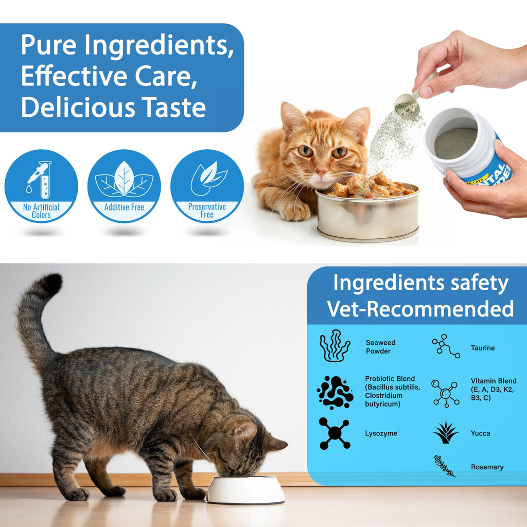 Cat Dental Powder A260595