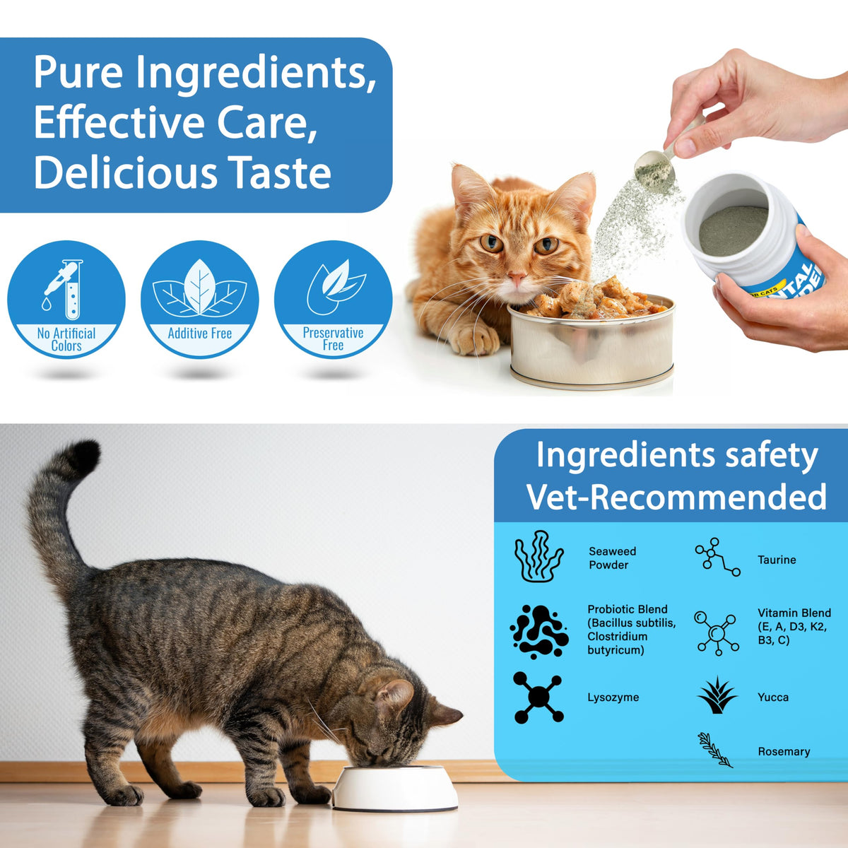 Cat Dental Powder A260595