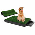 Dog Grass Pad with Tray 30 x 20 in G415