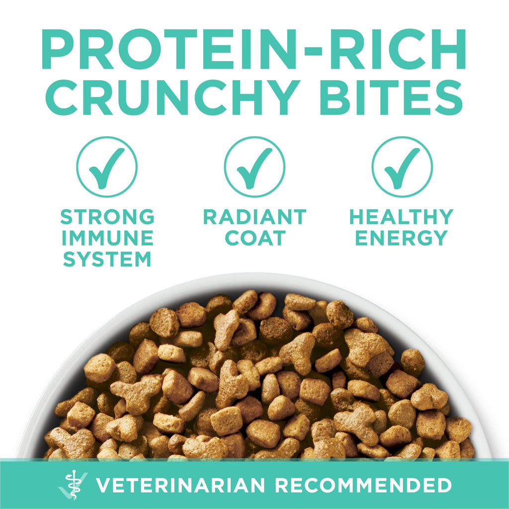 Sensitive Skin and Stomach Dry Cat Food 3.5 lb Bag Y93821