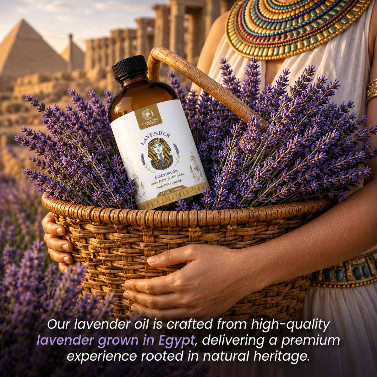 Lavender Essential Oil 4 Fl Oz M238