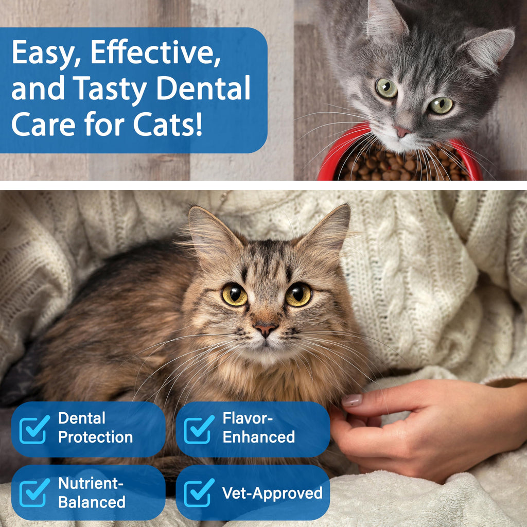 Cat Dental Powder A260595